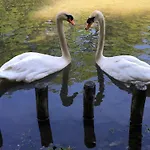 Bilderberg Chateau Holtmuehle