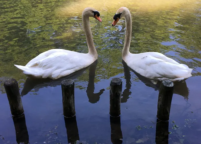 Bilderberg Chateau Holtmuehle