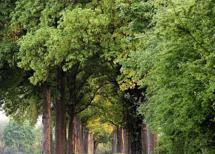 호텔 Bilderberg Chateau Holtmuehle